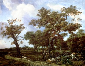 The Woods Near The Hague_OSG